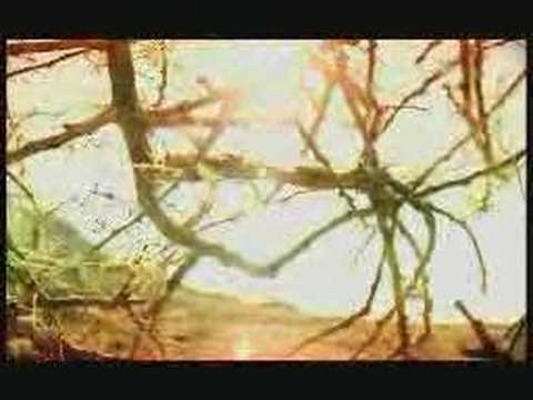 Varvara Letala Da Pela 