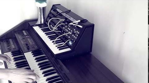 Korg MS 20 synthesizer + Electric Organ + Strymon Timeline
