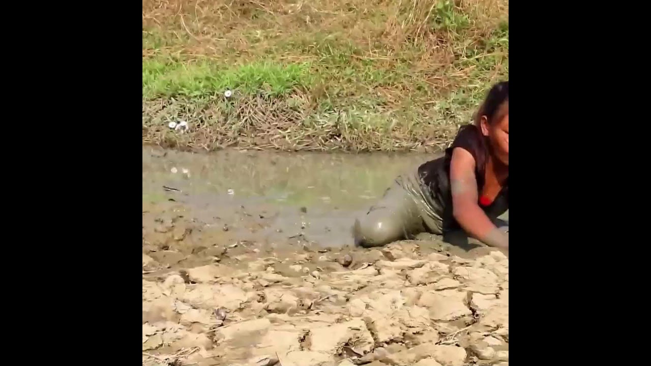 Find wild pineapple - Eat fresh and cook with pork 