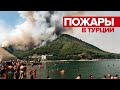 «Глаза режет, пепел падает с неба»: в Турции бушуют лесные пожары