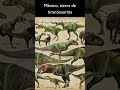 Tyrannosaurus en México