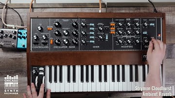 Moog Minimoog Model D // Just Sounds