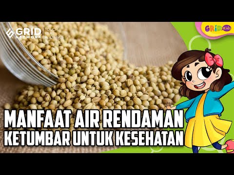 Video: Ketumbar - Manfaat, Biji Ketumbar, Minyak Dan Buah-buahan