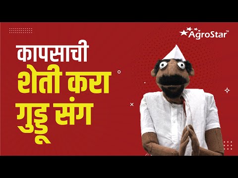 EP - 04 || कपाशीसाठी शेत कसे तयार करायचे ते जाणून घ्या || Cotton Advisory || #agrostar - EP - 04 || कपाशीसाठी शेत कसे तयार करायचे ते जाणून घ्या || Cotton Advisory || #agrostar