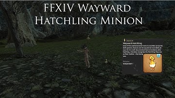 FFXIV Wayward Hatchling Minion