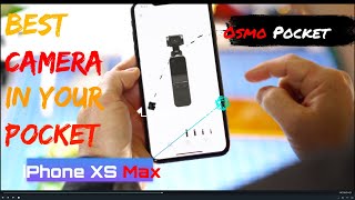 The iPhone XS Max vs. 4K Osmo Pocket|Cinematic Camera Review|