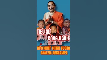 Tiểu sử và công hạnh Đức Nhiếp Chính Vương Gyalwa Dokhampa | Khamtrul rinpoche | Drukpa  #shorts