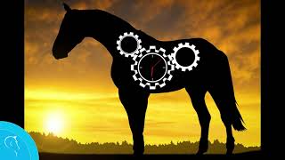 Johorse Europe | Equilume HORSE STABLE LIGHT | Equilume PFERDE STALLBELEUCHTUNG |