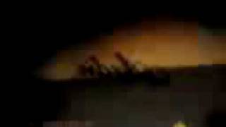 None (Video-0003.mpeg)