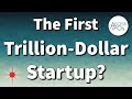 The First Trillion-Dollar Private Company? My Top 5 Potential Teracorn List. Ep. #20