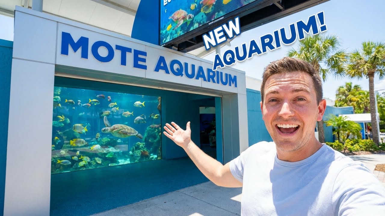 First Look Inside The Brand New Mote Aquarium - YouTube