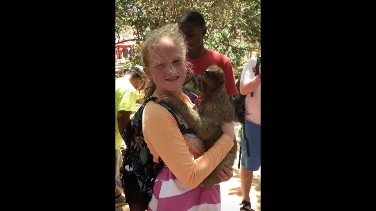 Sloths and other animals at Mayan Jungle Canopy Tour in Roatan Honduras