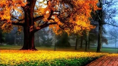 تلاوة جميلة جدا | من سورة المدثر | القارئ إدريس أبكر