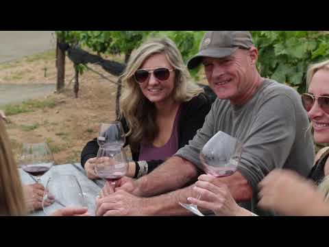 Video: Ussuri Vineyard