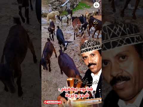شاعود يكفيني شجن وغربه | ايوب طارش