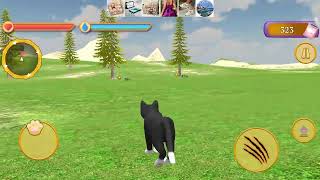 Cat Simulator: Pet Care 3D level 2 gameplay (this doesn't make any sense) screenshot 5