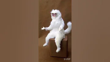 زغرتي يااا تورية 