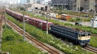 2019/08/24 JR貨物 75レ EF65-2139 東京貨物ターミナル | JR Freight: Cargo at Tokyo Kamotsu