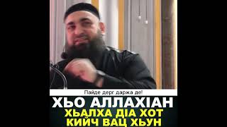 УМАР ХЕХОЕВ ХЬО АЛЛАХ1АН ХЬАЛХА Д1А ХОТ КИЙЧ ВАЦ ХЬУН ХЬЕХАМ