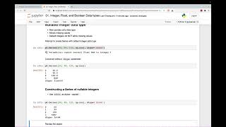 04 Nullable Integer Data Type