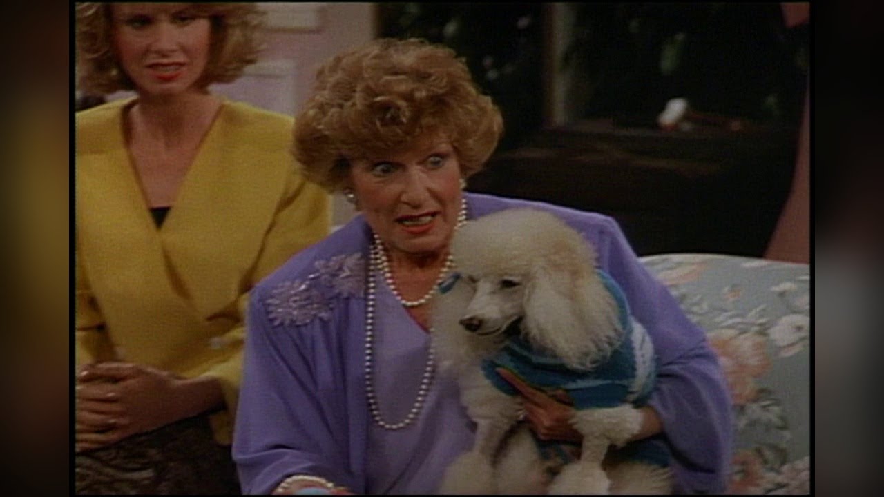 Pepper Jumps Out the Window | Coach