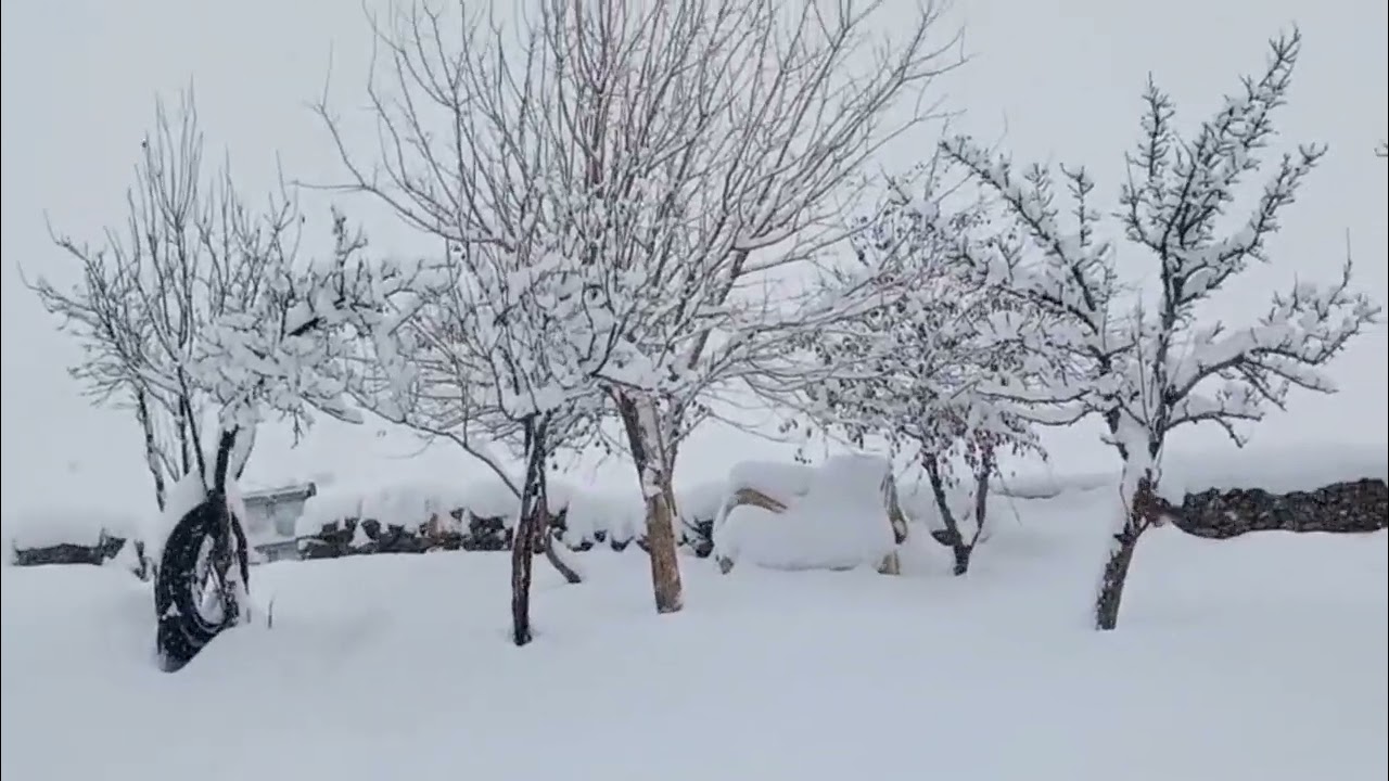 Bu sene kış sert geçti 