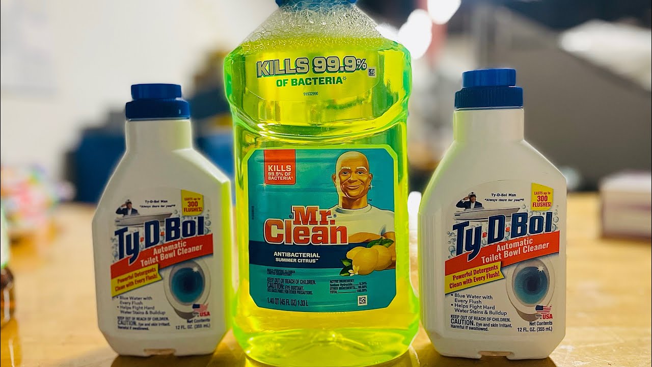 ASMR 🌀 Ty D Bowl + 💛 Mr Clean in the White Sink 🫧