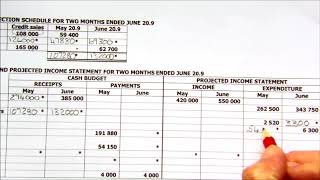 Cash budget and Projected Income Statement in columns