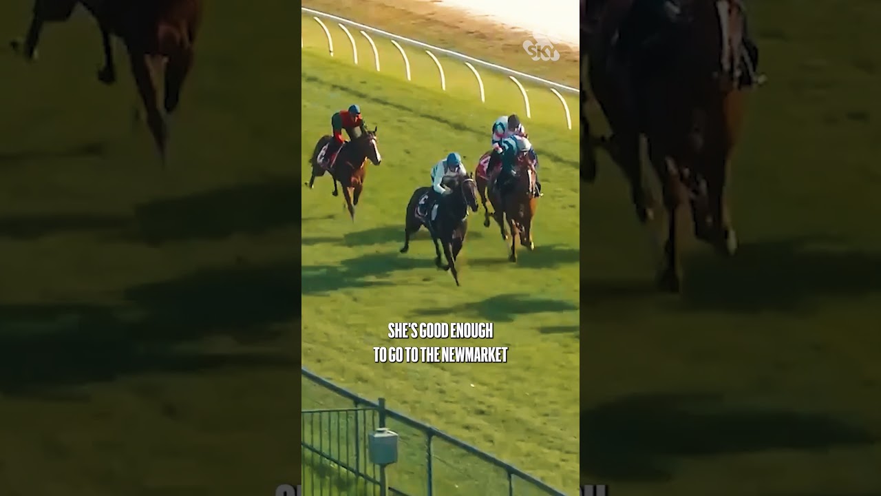 Момент, когда Митч Фридман понял, что Скайберд ГОТОВ! ⚡️ 