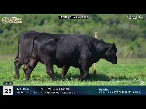 LOTE 028