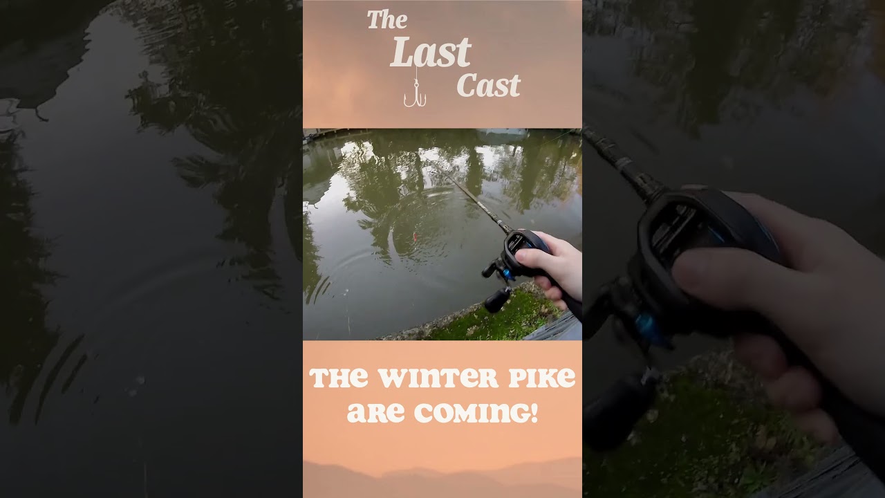 The Winter MONSTER PIKE Are Coming - UK 