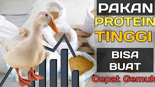Pakan campuran bebek pedaging tinggi protein