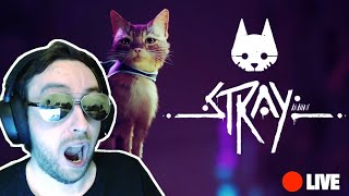 Salty Reacts to Stray - Official Gameplay Trailer