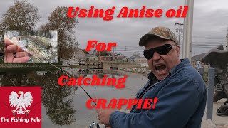 Using Anise oil For Catching Crappie! 