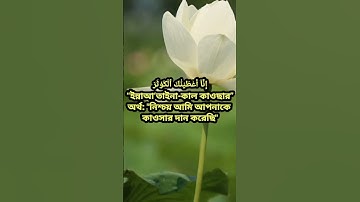 সূরাঃ ১০৮/ আল-কাউসার | Al-Kawthar | سورة الكوثر আয়াতঃ ৩ মাক্কী