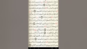 ماهر المعيقلي سورة آل عمران مكتوبة صفحة 55 مصحف المدينة المنورة جودة عالية