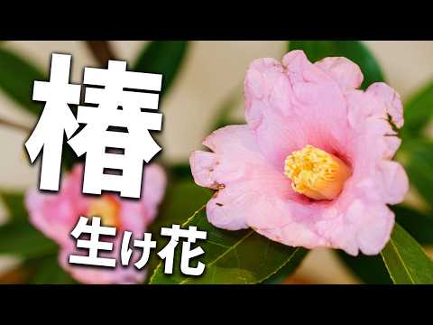 4F 昭和レトロ 木製手桶 アレンジメント 柿 栗 椿 造花 アンティーク調 Camellia Ikebana - YouTube