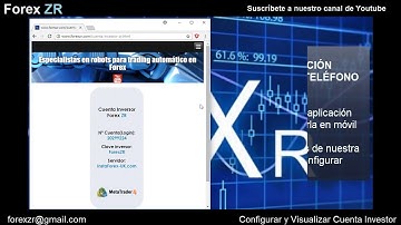 Robot Forex - Instalar Cuenta investor en Metatrader 4 móvil