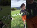 豆柴が…逃げちゃうよー！【柴犬】#shorts