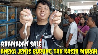 Download Lagu RHAMADAN SALE ! HARI INI RESMI TURUN HARGA DAN BURUNG2 LAINNYA DI JUAL MURAH MP3
