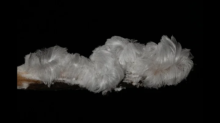 Hair Ice time Lapse Jan 26, 2025