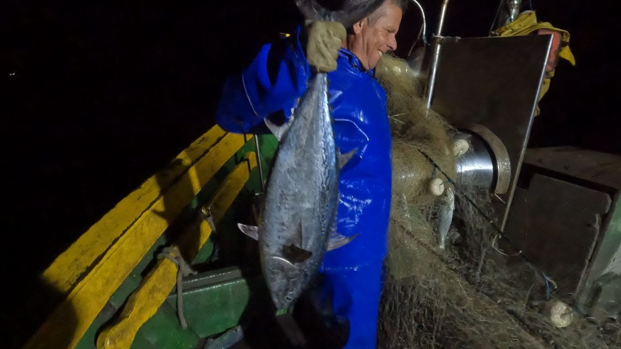 PESCARIA DE ANCHOVA E ATUM - Atum Assado na Brasa