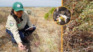 At LAX, CCC Interns Help Butterflies Take Off