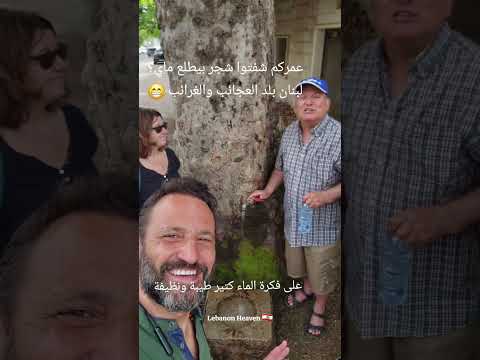 عمركم شفتوا ماي بيطلع من الشجر لبنان بلد العجايب والغريب اجمل بلد بالعالم  