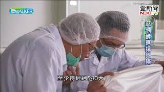 壹Walker-第261集 part1 慈憫酵應揚國際