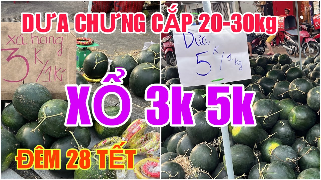 Tập 2869 XỔ 3k 5k DƯA CHƯNG TẾT 20 30kg 1 CẶP ĐÊM 28 TẾT