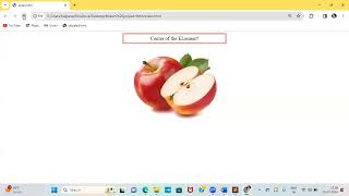 HTML Combinators: Mastering Selector Relationships online course Part-8