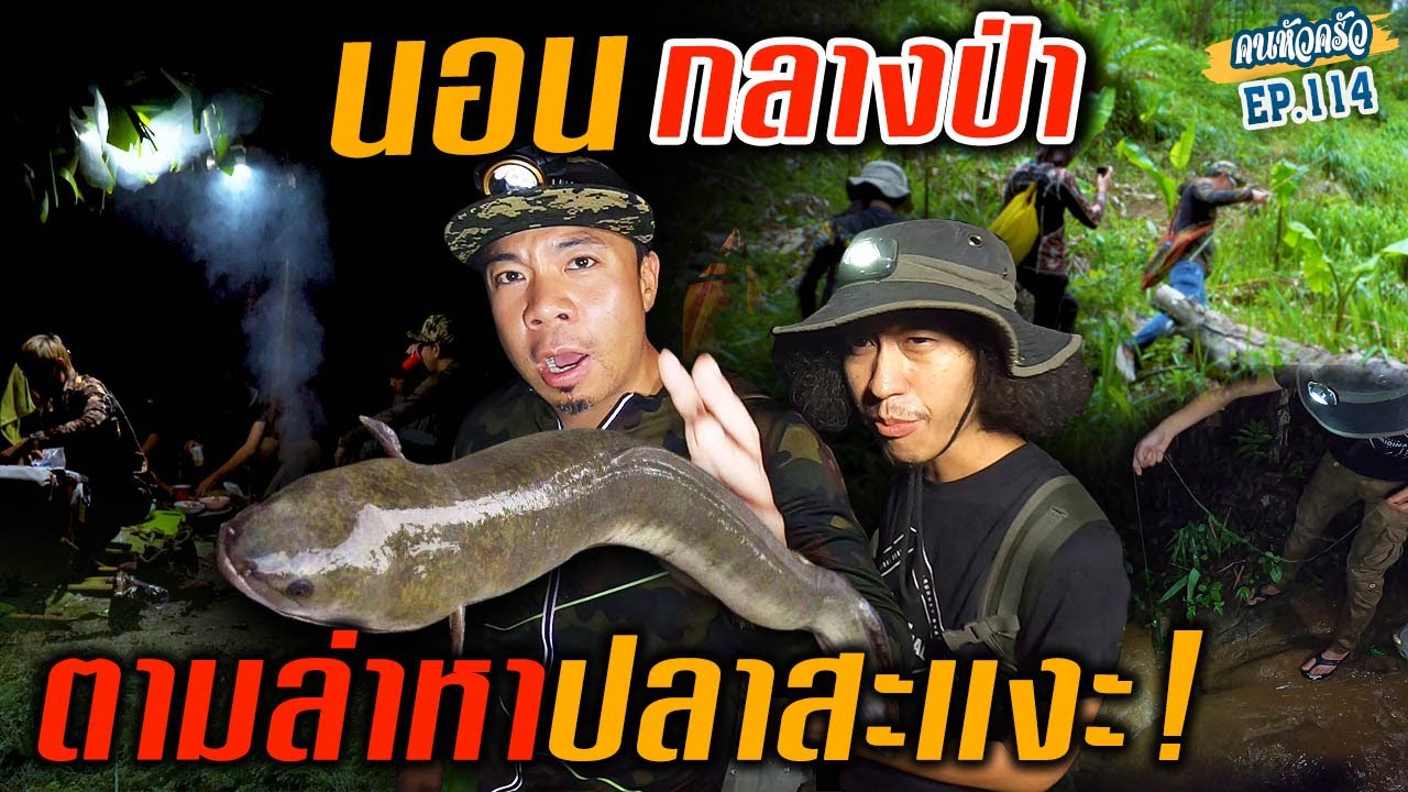 นอนกลางป่า! ตามล่าหาปีศาจ "ปลาสะแงะ" !!! [หัวครัวทัวร์ริ่ง] EP.114