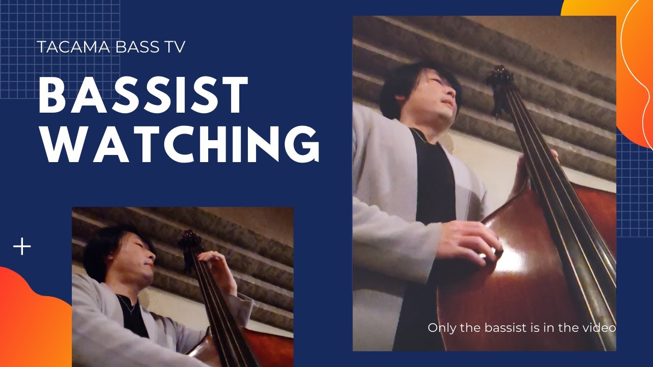 ブルー」というナイロン弦の紹介【ウッドベース/コントラバス弦