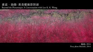 畫意・抽象：黃貴權攝影對談 Beyond the Picturesque: A Conversation with Leo K. K. Wong